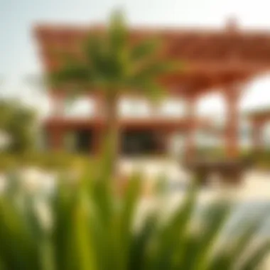 Vibrant community spaces in Shoba Heartland