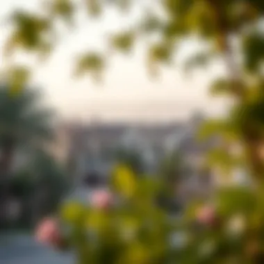 A scenic view of a cozy neighborhood in Dubai