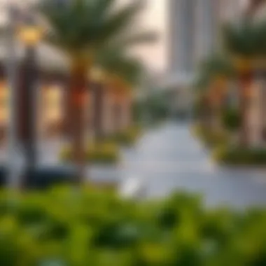 Community features surrounding Ayana Properties