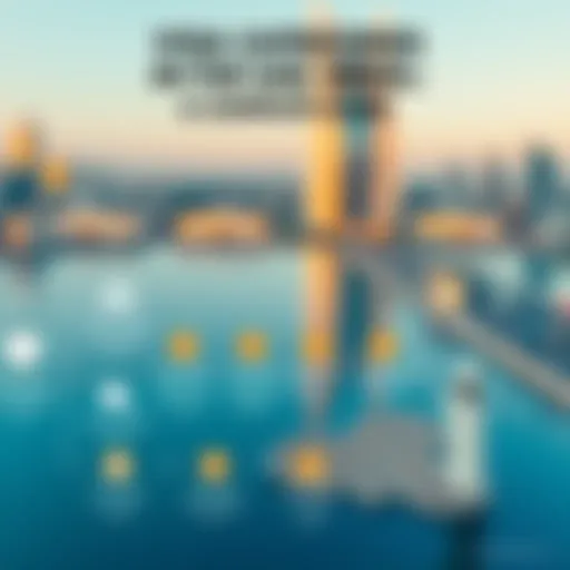 A detailed infographic showcasing various visa categories in the UAE