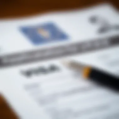 A close-up of a visa application form with a pen