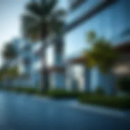 Concept of vacant property ownership in Dubai